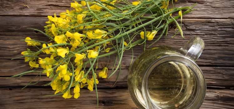 Can we (or should we) canola?