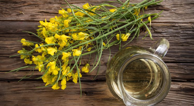 Can we (or should we) canola?