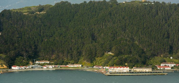 Shelly Bay: Day trip to the bay