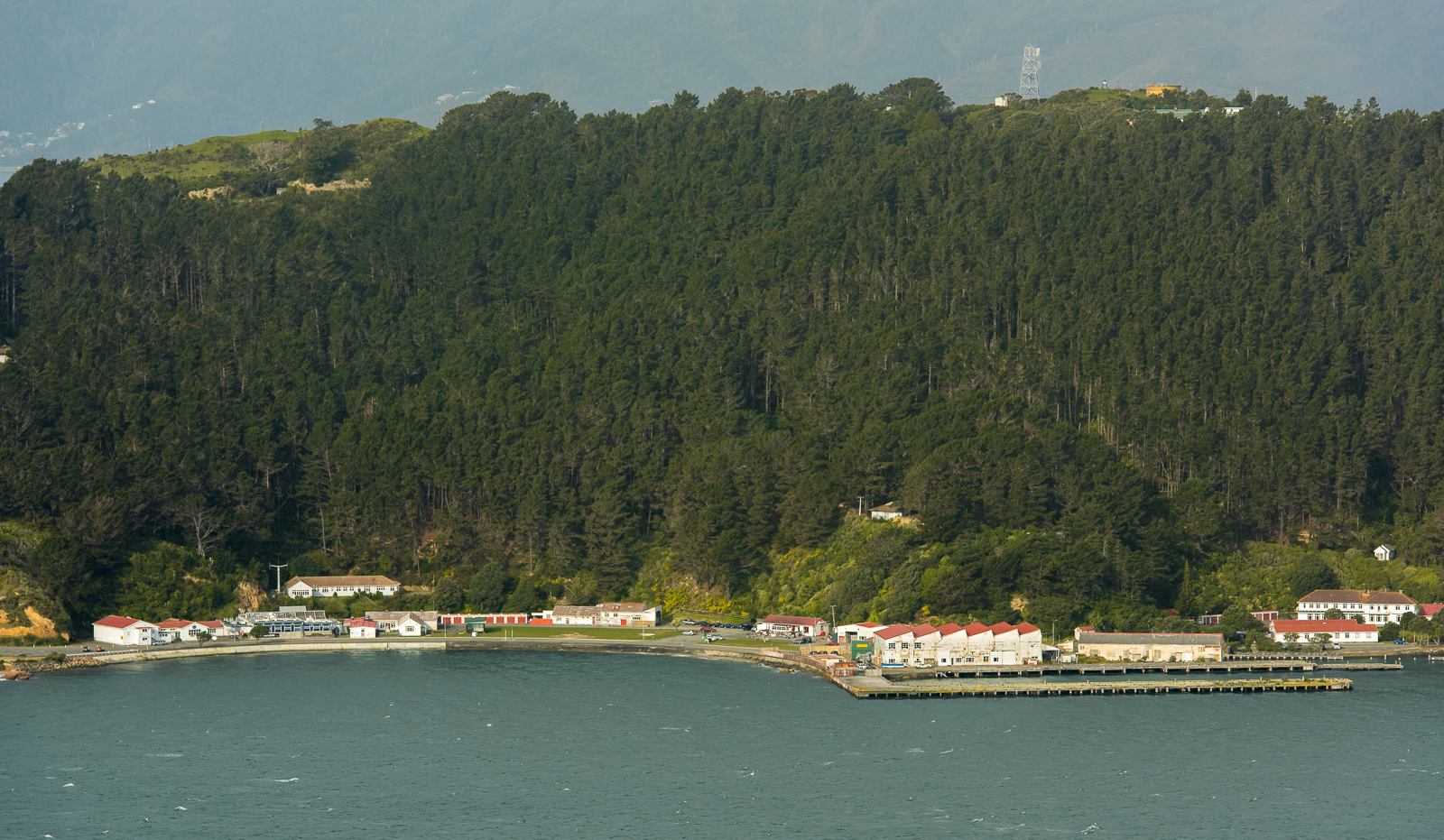 Shelly Bay: Day trip to the bay